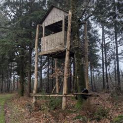 Affut/approche brocard 2026