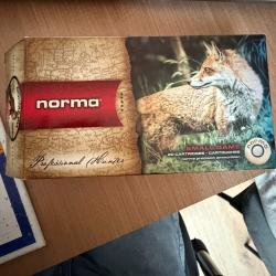 Balles .243 Winchester Norma Tipstrike Varmint - x11