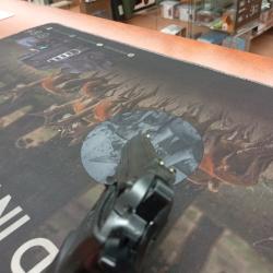 Vends bersa thunder 22