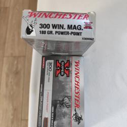 Balles winchester PowerPoint 180 grains
