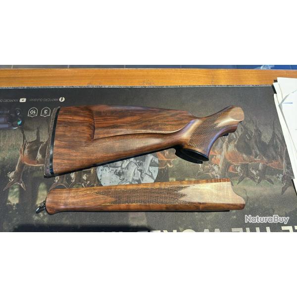 Ensemble crosse et devant Blaser R93 Gaucher