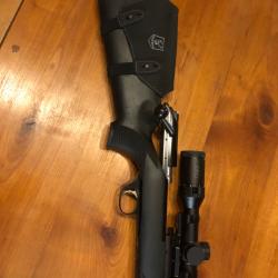 Carabine Chapuis rols