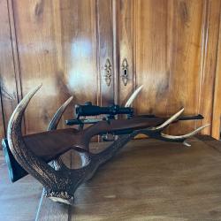 Carabine a verrou cz 550