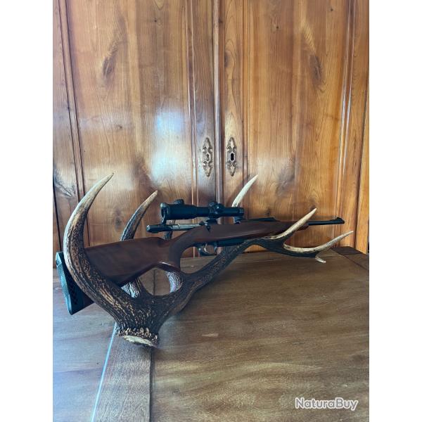 Carabine a verrou cz 550