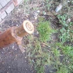 Canne WW1 Fran&ccedil;aise