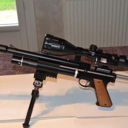 Pistolet carabine Artemis PP750 CAL 5.5 14 joules