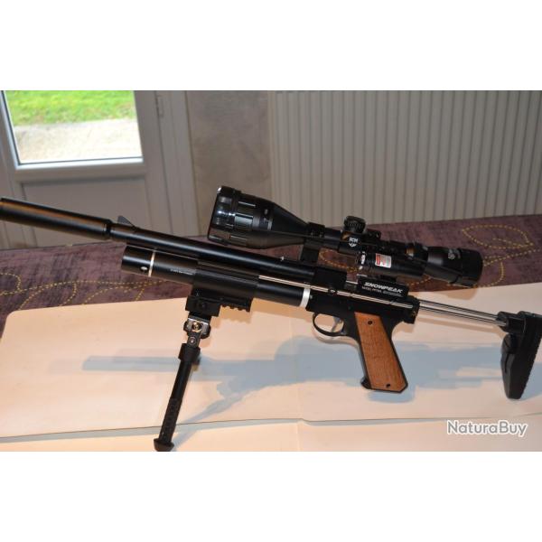 Pistolet carabine Artemis PP750 CAL 5.5 14 joules