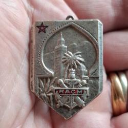 INSIGNE REGIMENT ARTILLERIE COLONIALE MAROC ( PERIODE INDOCHINE )