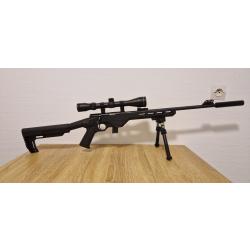 Carabine Citadel 22 lr