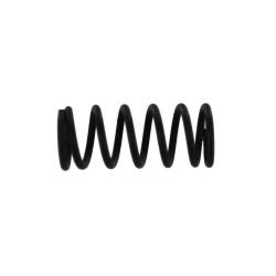 cup seal spring [SW1-46]