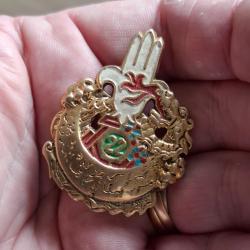 INSIGNE 22 BATAILLON TIRAILLEURS ALGERIENS EN EXTREME ORIENT ( INDOCHINE )