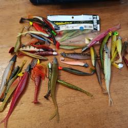 Lot de leurre souple carnassier