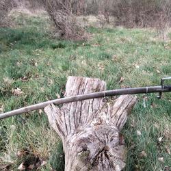 Sabre d'officier de cavalerie Italienne MOD&Egrave;LE 1855