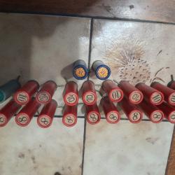 Cartouches broche calibre 16