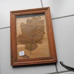 CADRE bois  artisanat 14/18  FEUILLE D ARBRE  VERDUN