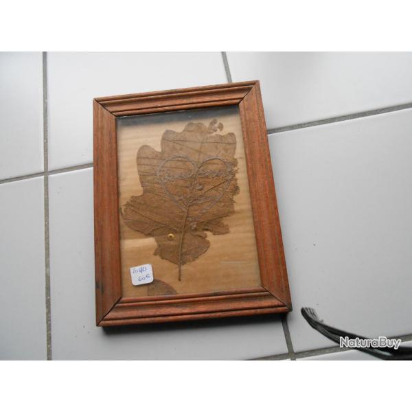 CADRE bois  artisanat 14/18  FEUILLE D ARBRE  VERDUN