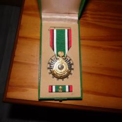 medaille guerre du golfe 1991
