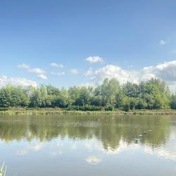 HUTTE DE CHASSE DANS LE MARAIS DE GUINES