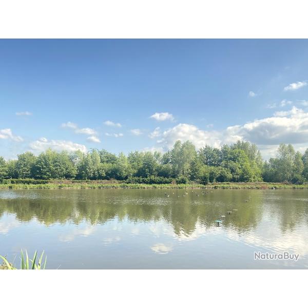 HUTTE DE CHASSE DANS LE MARAIS DE GUINES
