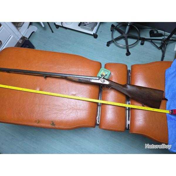 David Pedersoli  cal 12 PN