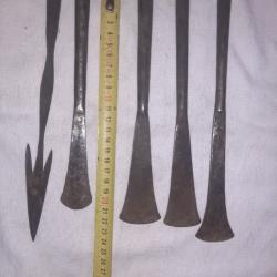 5 Fers de lance Africaines