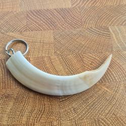 porte clef d&eacute;fense de sanglier