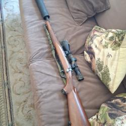 Ruger 243win + Lunette + Silencieux