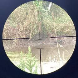 Swarovski Habicht 4-16x50 &agrave; colliers diam&egrave;tre 30 r&eacute;ticule TDS4 r&eacute;vis&eacute;e en 2019 (pas utilis&eacute;e depuis)