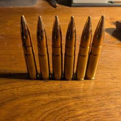 6 cartouches 300 BLK subsonique sellier et bellot