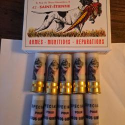 Bo&icirc;te de10 belles  balles Brenneke anciennes  douilles  plastiques