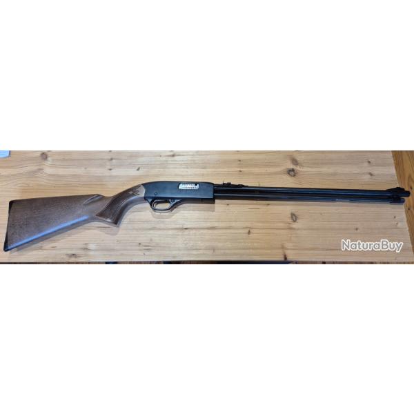 Carabine WINCHESTER 290 22LR