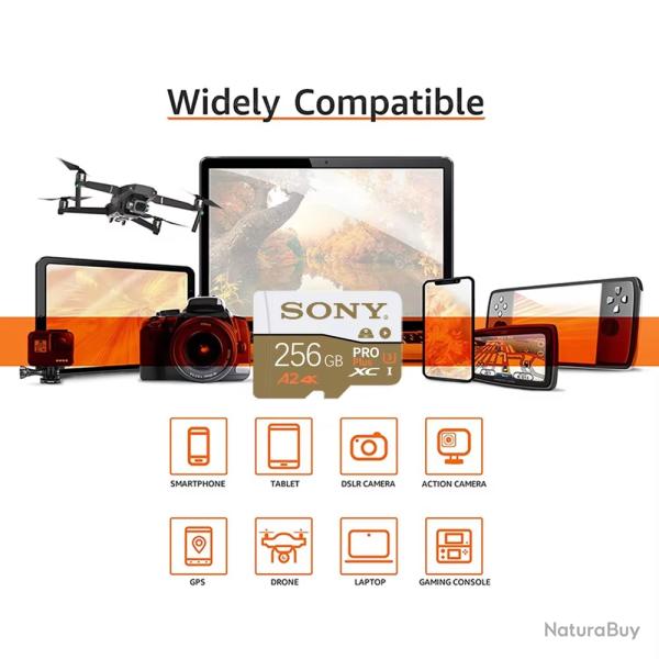 Carte M�moire Micro sd Sony 2 To + adaptateur Micro SD