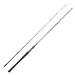 Canne casting DAIWA Exceler 2025 722 XH FB EF