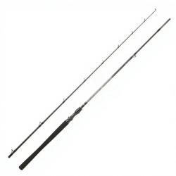 Canne casting DAIWA Exceler 2025 722 XH FB EF
