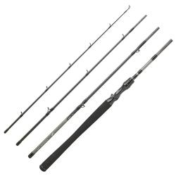 Canne casting DAIWA Exceler mobile 2025 664 MH FB EF