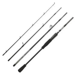Canne spinning DAIWA Exceler mobile 2025 804 H FS EF
