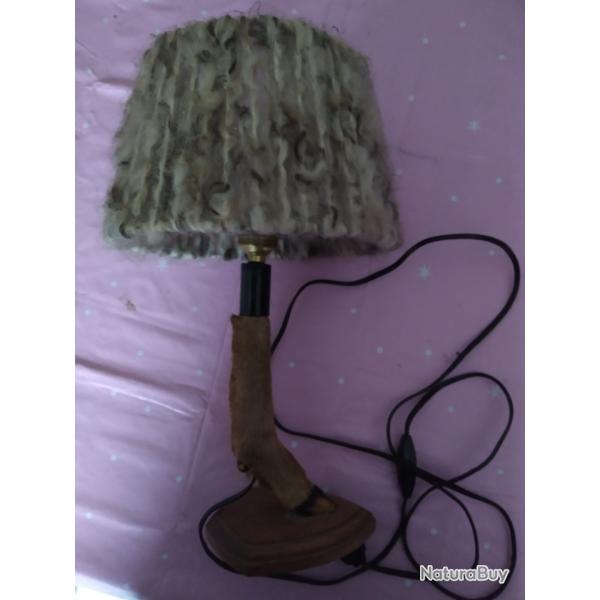 patte de cheveuil mont� en lampe
