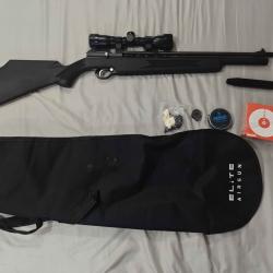 Carabine a plomb PR900 19.9 JOULES