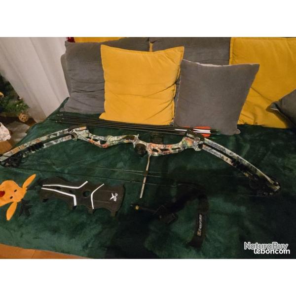 Arc � poulies de marque next vista �tat neuf avec fl�ches carbone et accessoires pret a tirer .Voir