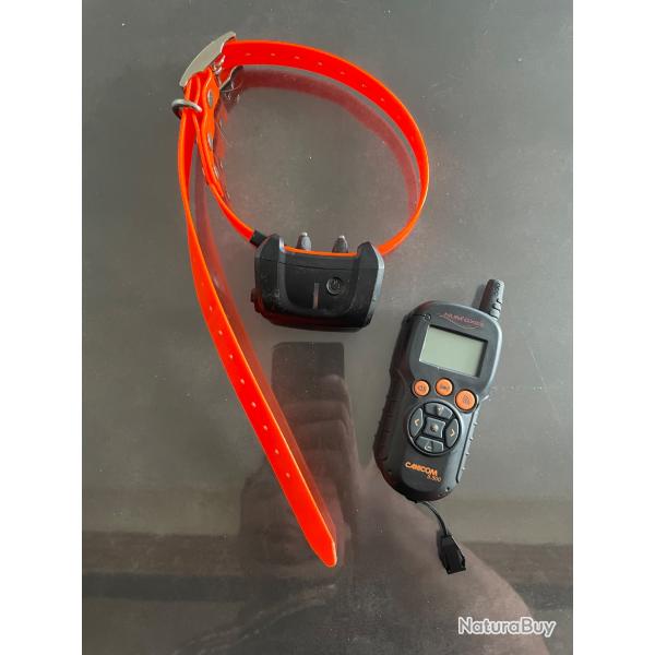 PACK COLLIER DE DRESSAGE NUM'AXES CANICOM 5.500