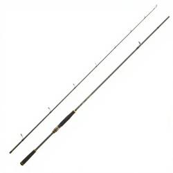 Canne spinning DAIWA Legalis seabass SW 2025 1102 XH FS BF