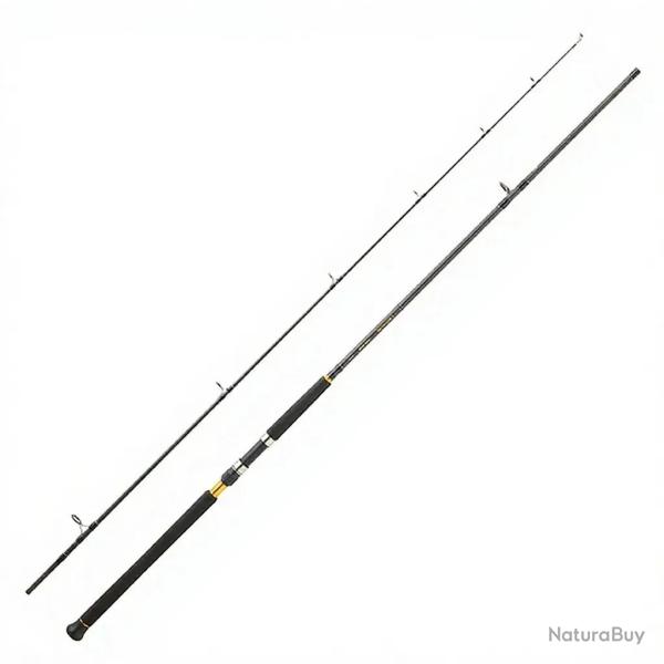 Canne spinning DAIWA Legalis shore jigging 2025 902 XH FS CF