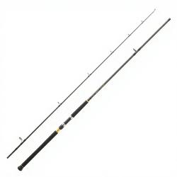 Canne spinning DAIWA Legalis shore jigging 2025 962 XH FS CF