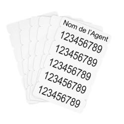 Boite de 100 cartes vierges 86 x 54 mm sp&eacute;ciale 5 NUB