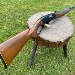 Winchester mod&egrave;le 250 &agrave; un euro sans prix de r&eacute;serve