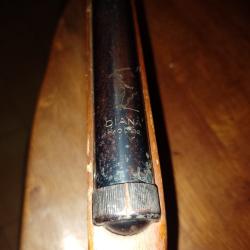 Petite carabine Diana mod&egrave;le 22