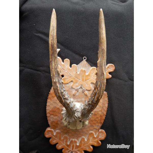 BOIS DE CHEVREUIL SUR BEAU  SUPPORT MURAL