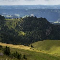 recherche bague de chamois ou chevreuil a l approche jura doubs cote d'or