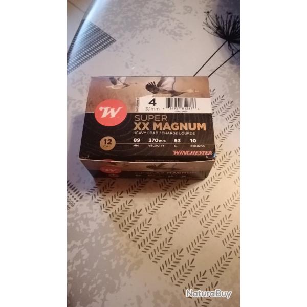 10 Cartouches 12/89 winchester