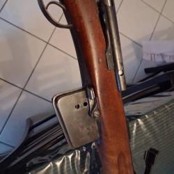 Vente magnifique Rubin de 1889 sbmidt rubin